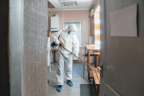 Best Post-Construction Mold Inspection  in Blooming Prairie, MN