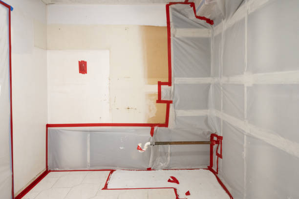 Mold Remediation for Vacation Homes in Blooming Prairie, MN
