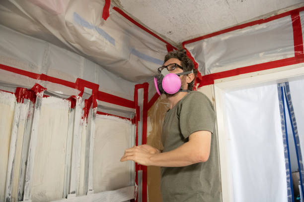 Best Mold Documentation for Insurance Claims  in Blooming Prairie, MN