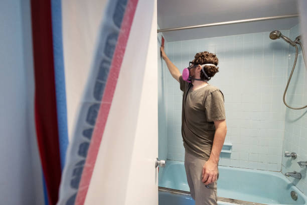 Best Environmental Consulting for Mold Prevention  in Blooming Prairie, MN